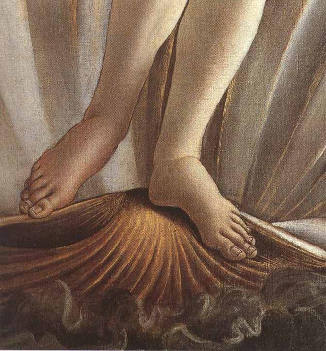 Sandro Botticelli The Birth of Venus (mk36) oil painting picture
